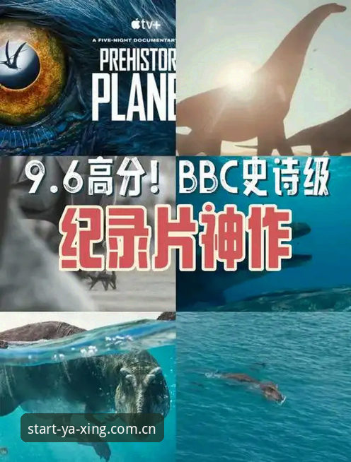 亚星YAXING手机APP下载使用指南 索斯盖特纪录片引关注,亚星YAXING平台观赛指南详解